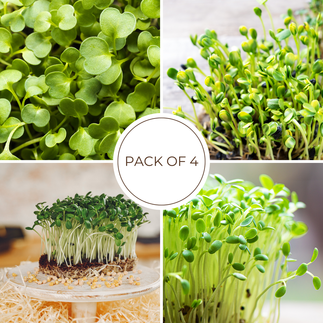 Hair & Scalp Microgreens Kit - Grow Strength From Root To Tip.  3 Months Supply