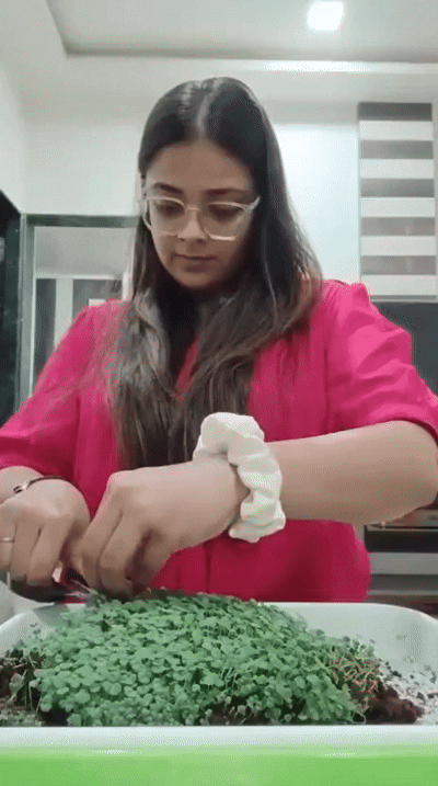 🌸 Women’s Wellness Microgreens Kit
