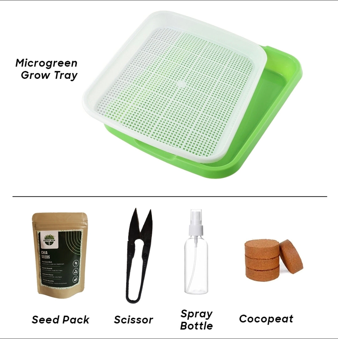Bone Strength Microgreens Kit – Build Stronger Bones & Joints Naturally. 3 Months Supply